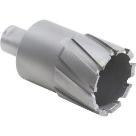 Walter 05F250 CARBIDE CORE CUT Annular Cutter, 50 mm, Weldon Shank