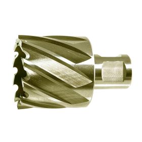 Drillco 91N148 Weldon Shank Cobalt Annular Cutters 3/4"