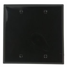 Leviton 80725-E Blank Wallplate, Standard Size, Gang 2, Black
