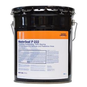 MasterSeal P 222 Solvent-Based Primer Kit 5 Gallon