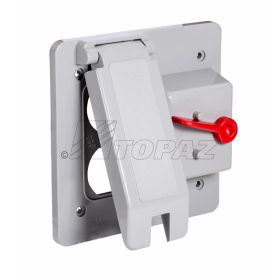 Topaz 1325 Duplex and Plunger Switch Cover, PVC, Square, 4.5625" x 4.5625"