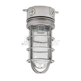 Topaz VFI100W50CG Vapor Proof Fixture, Ceiling, Pendant, Die Cast Copper Free Aluminum