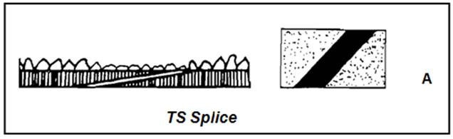 TS Splice Diagram 